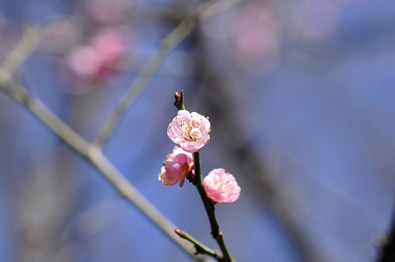 image0120