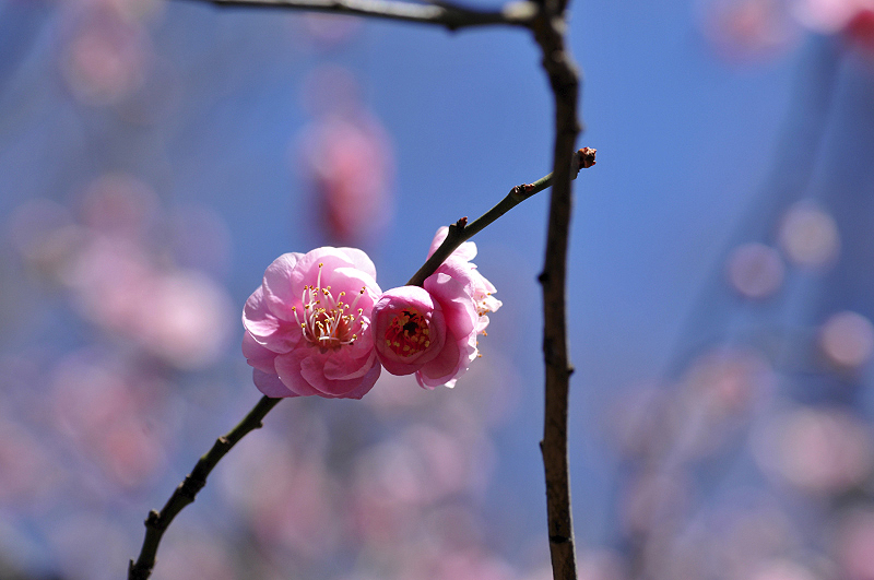 image0121