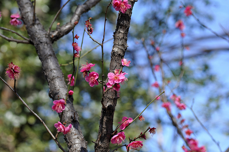 image0132