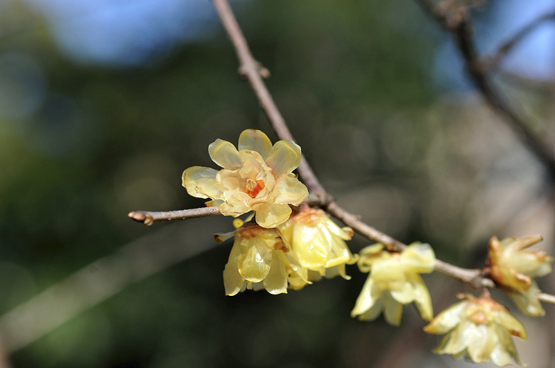 image0140
