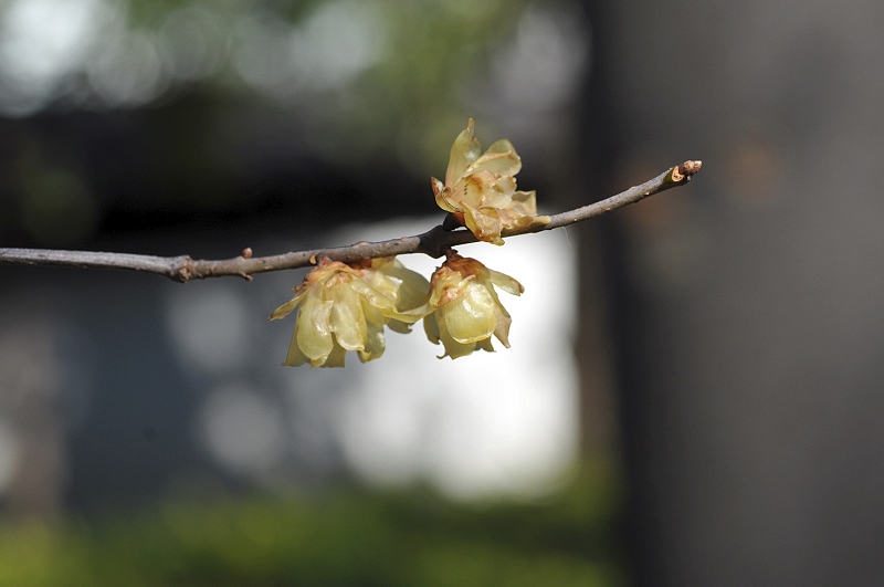image0142