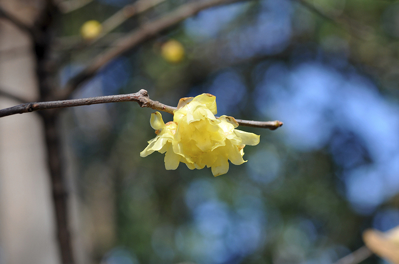 image0143