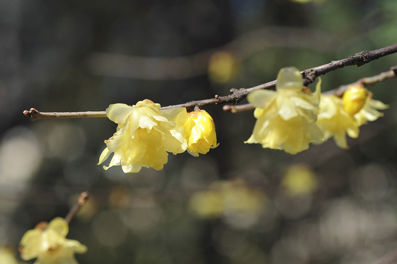 image0144