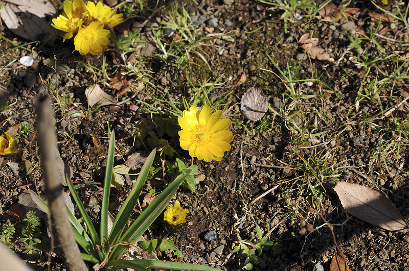 image0152