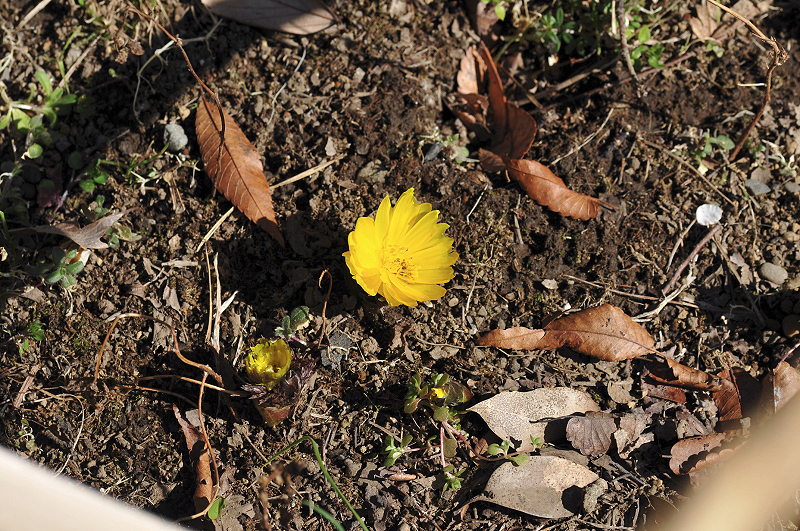 image0153