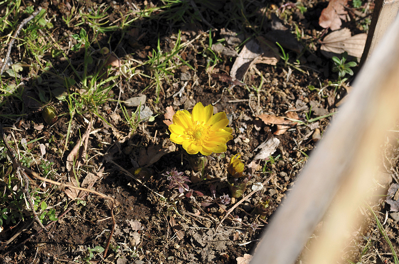 image0154