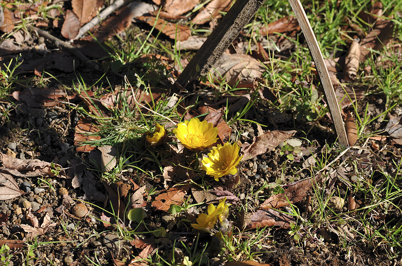 image0155