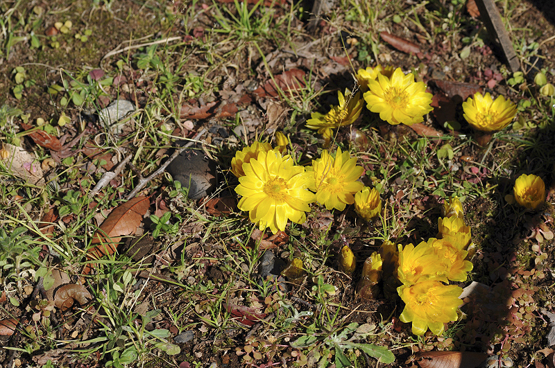 image0160