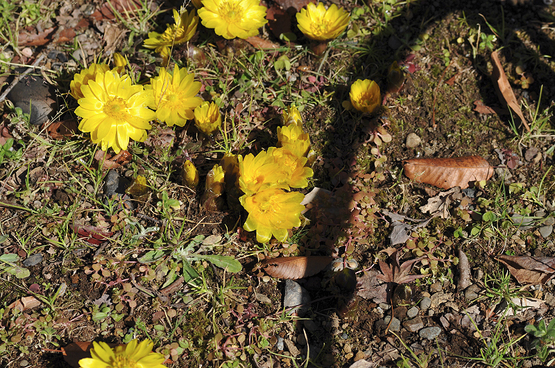 image0161