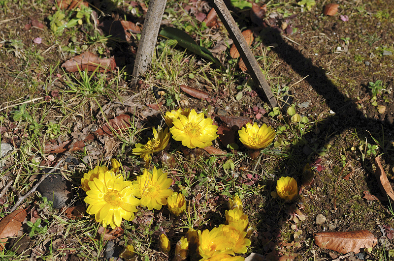 image0162