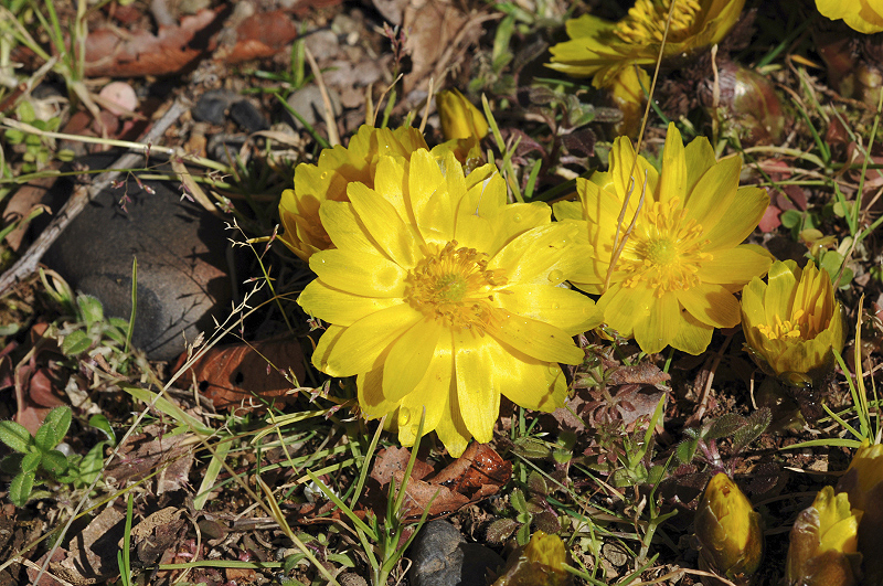 image0163