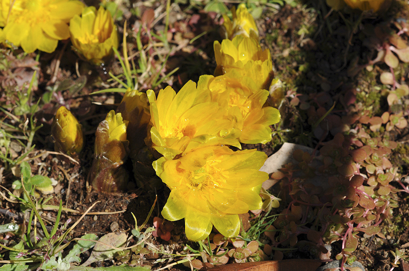 image0164