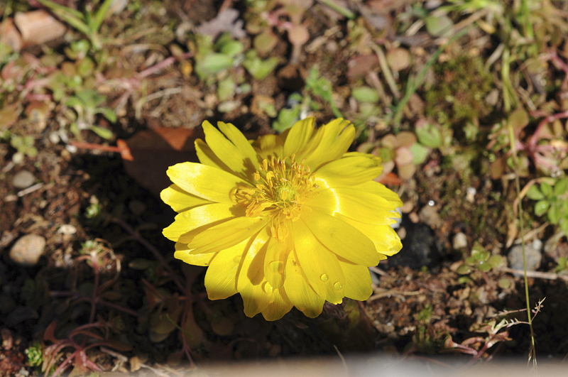 image0165