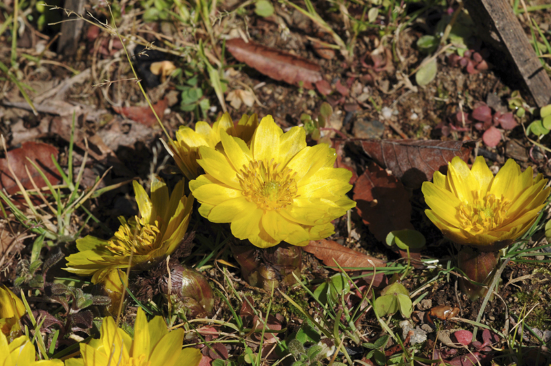 image0166