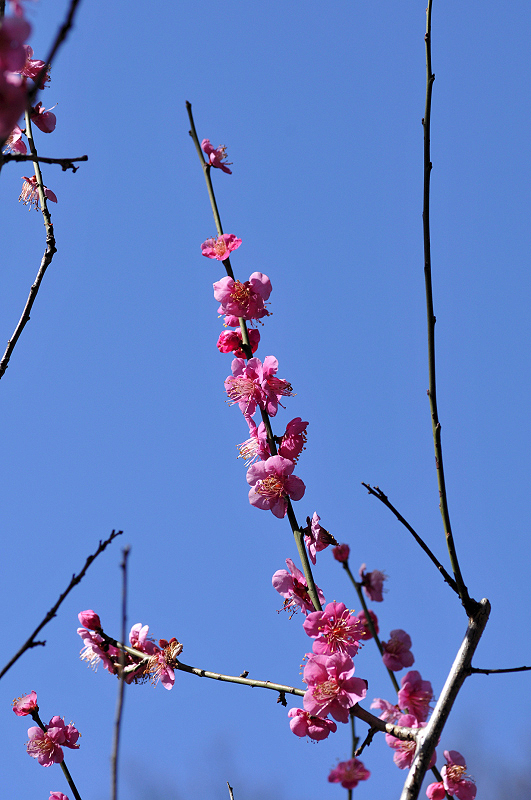 image0170
