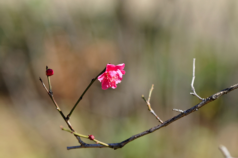 image0190