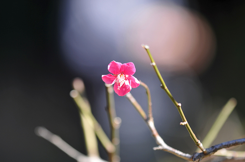 image0191