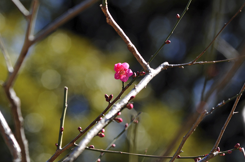 image0193