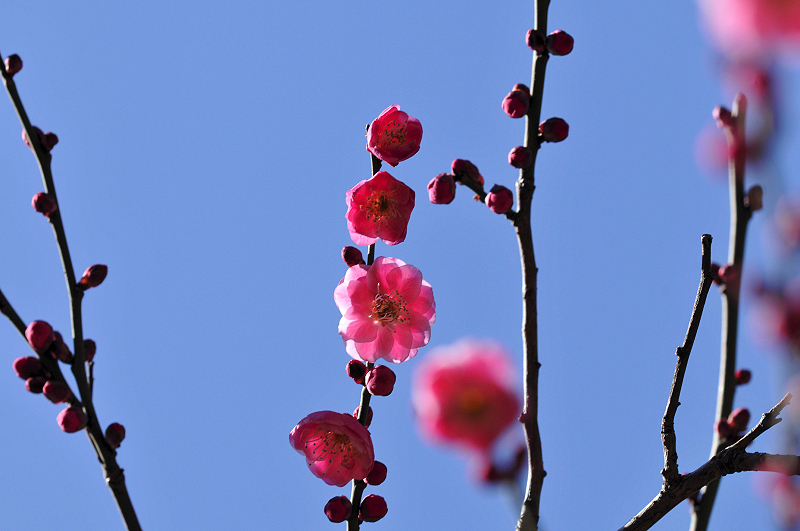 image0194