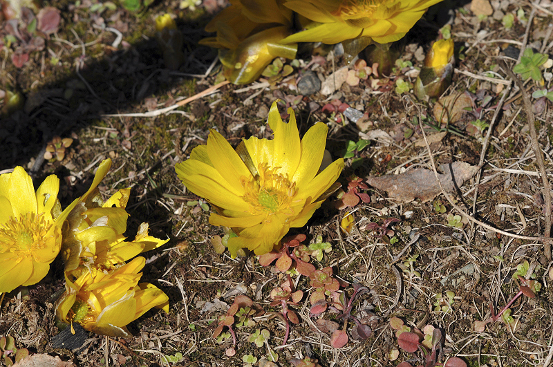 image0198