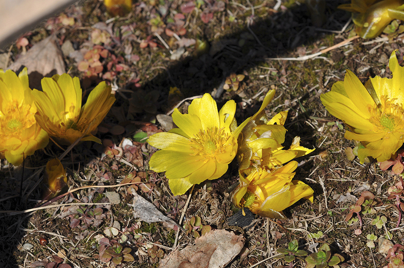 image0199