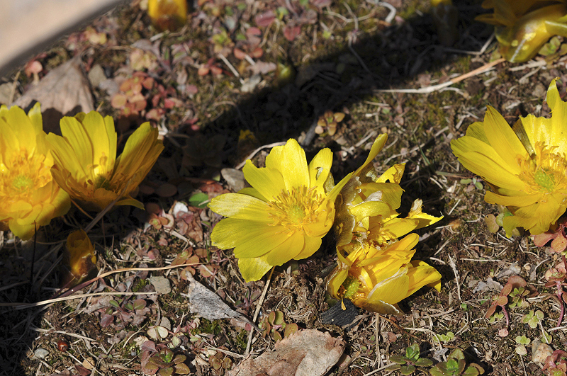 image0200