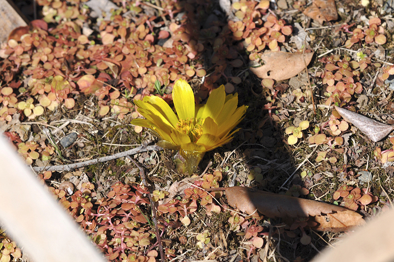 image0201