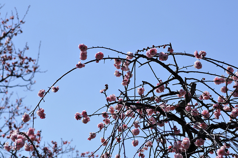 image0210
