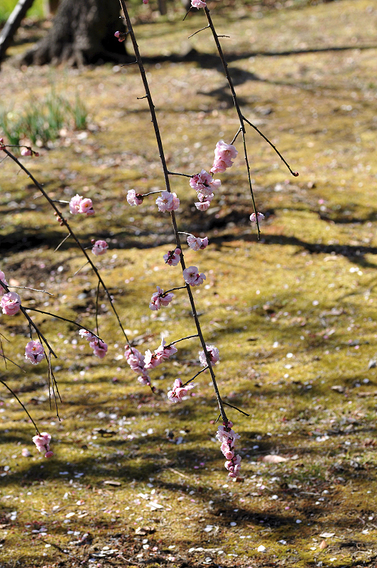image0212