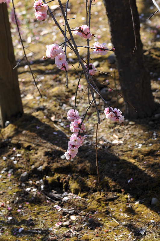 image0214
