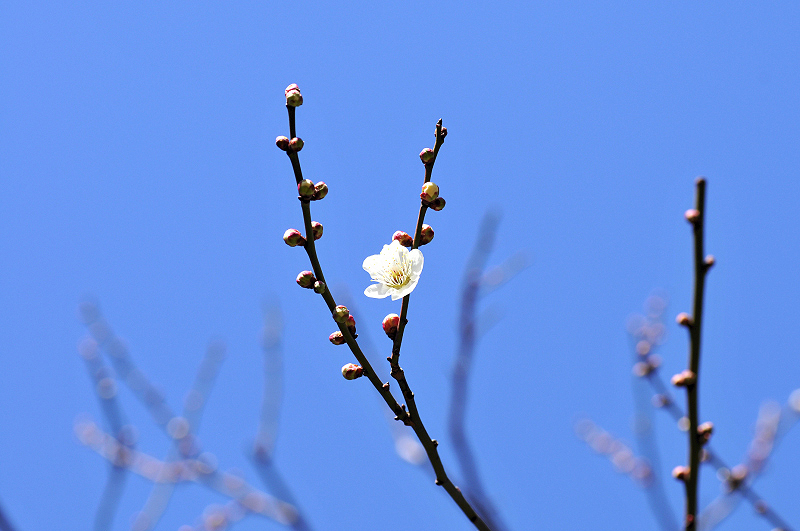 image0216