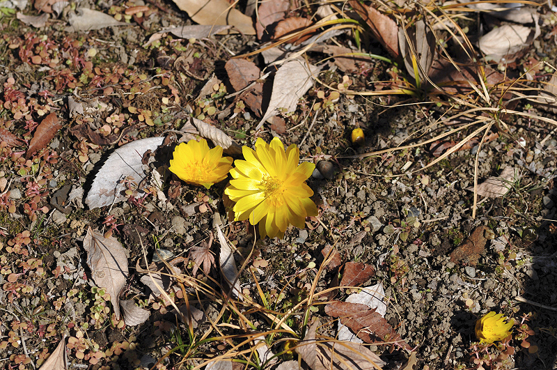 image0217