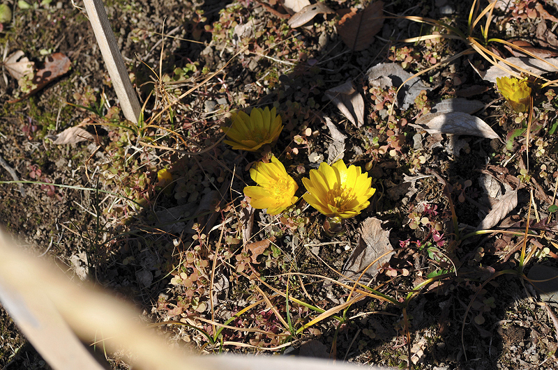 image0218