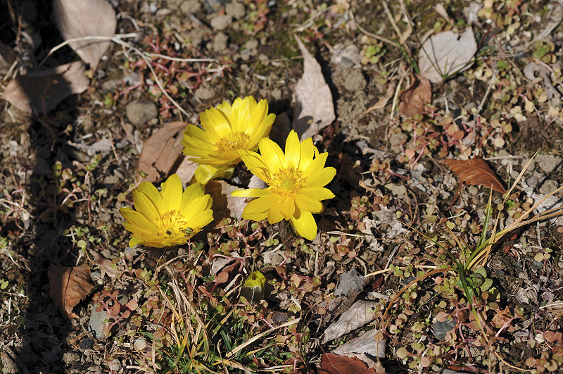 image0219
