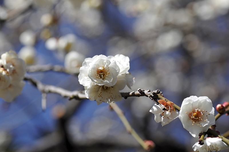 image0220