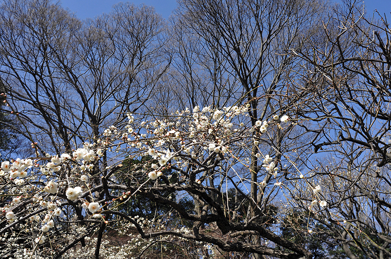 image0227
