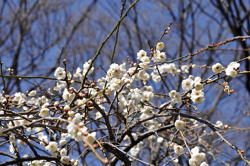 image0231