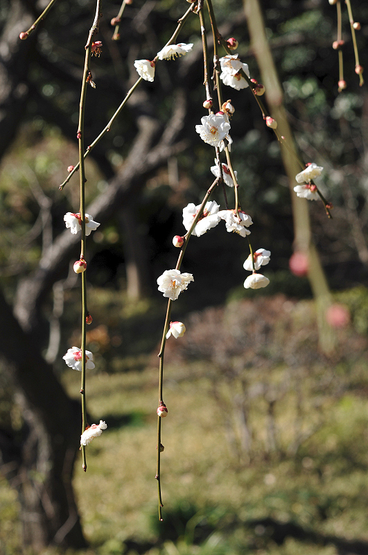 image0232