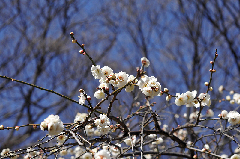 image0234
