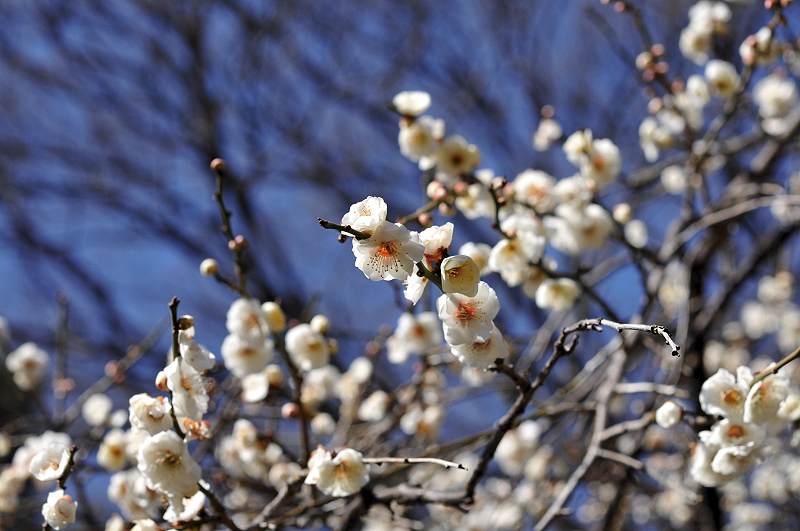 image0235