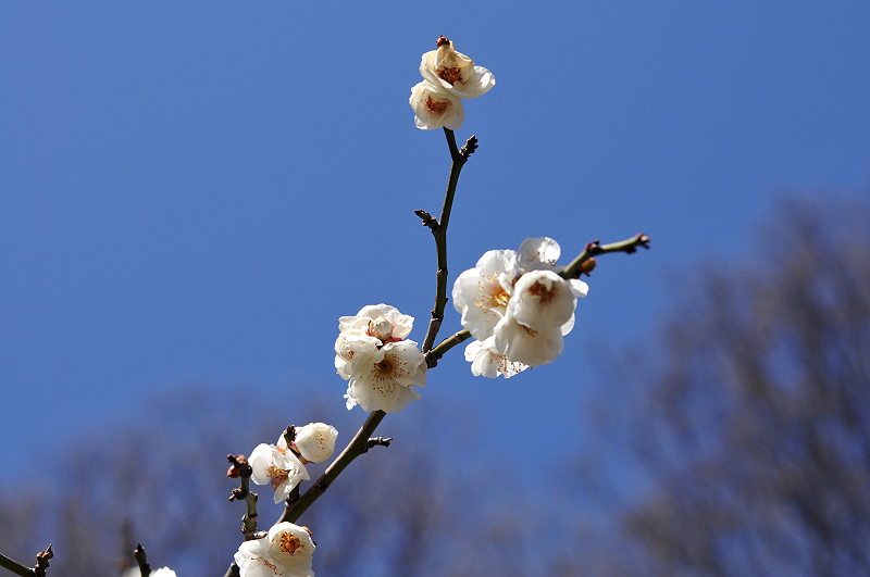image0237