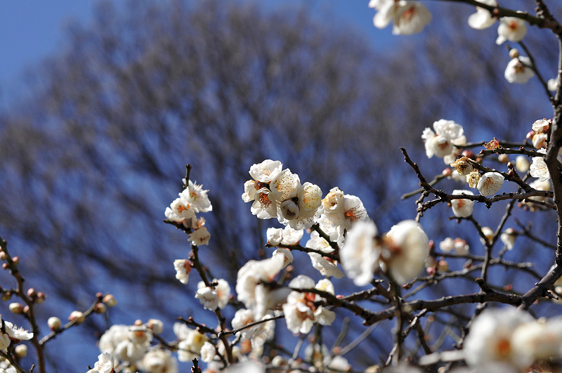 image0238