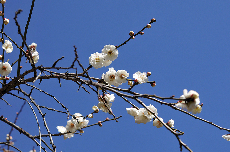 image0240