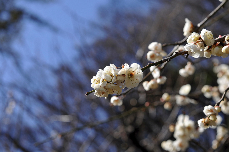 image0242