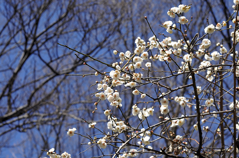 image0243