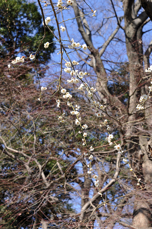 image0246