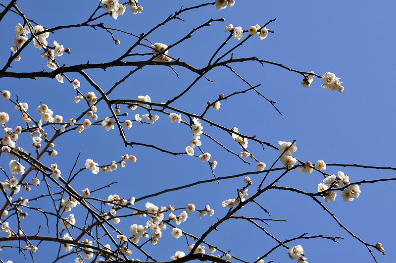 image0248