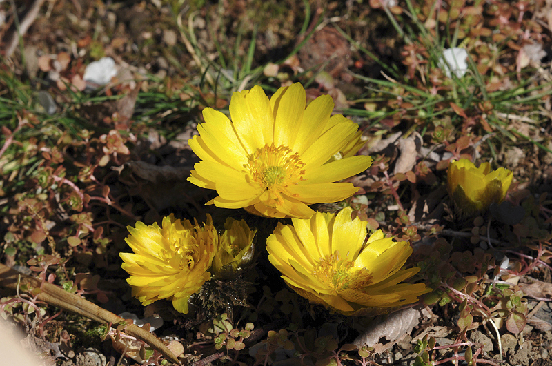 image0255