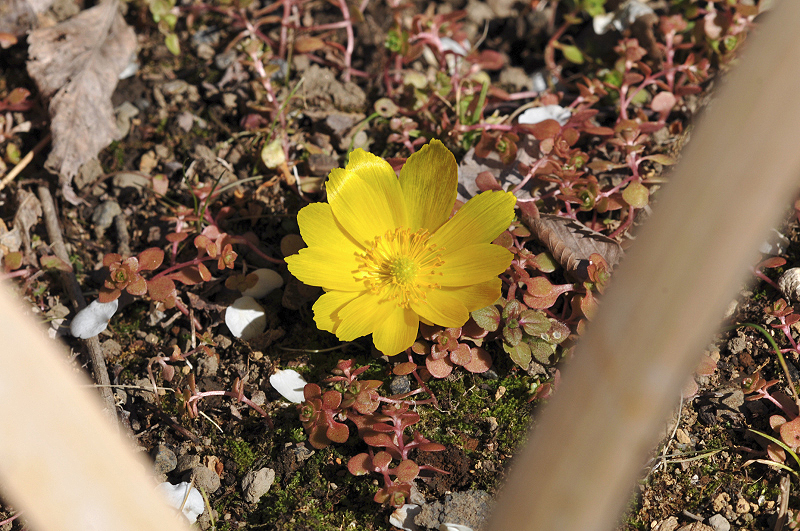 image0256