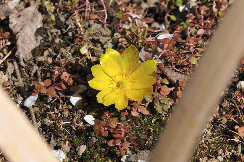 image0257